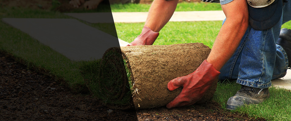 Cherry Hill Landscapers